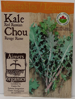 SEEDS - Kale - Red 